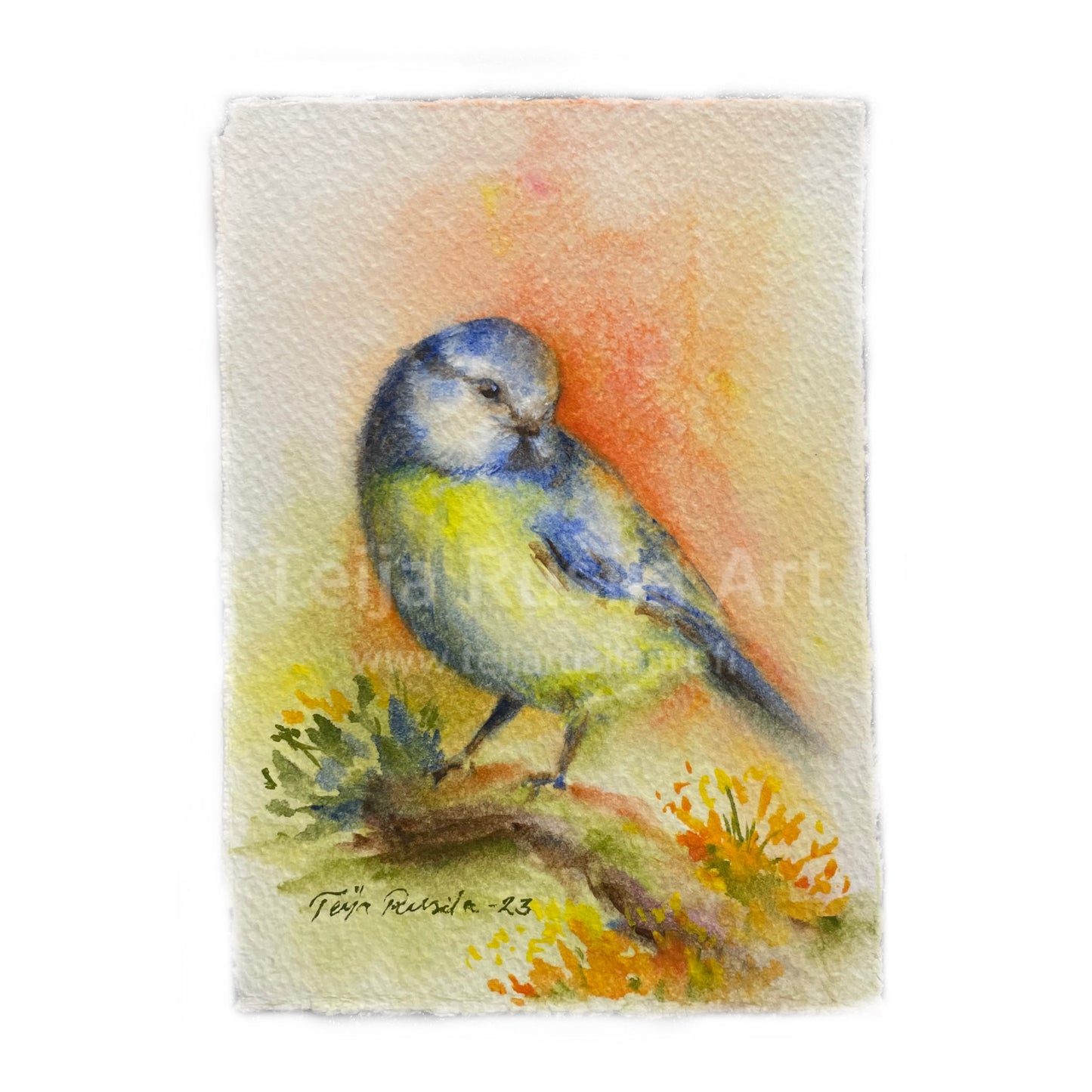 Teija Rusila Art | Tilaustyö | Guassi