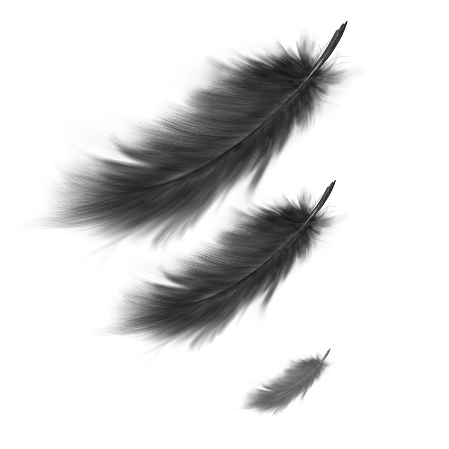 Teija Rusila Art | Procreate sivellin | Sulka