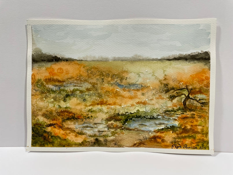 Teija Rusila Art | Akvarellimaalaus | Syksyinen suo