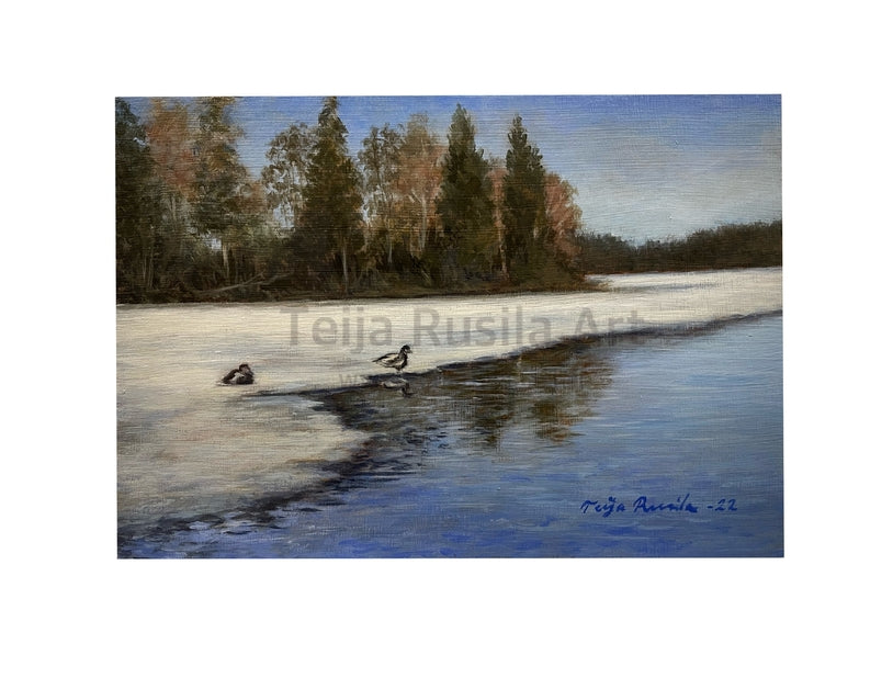 Teija Rusila Art | Board | Original work - Open water birds -